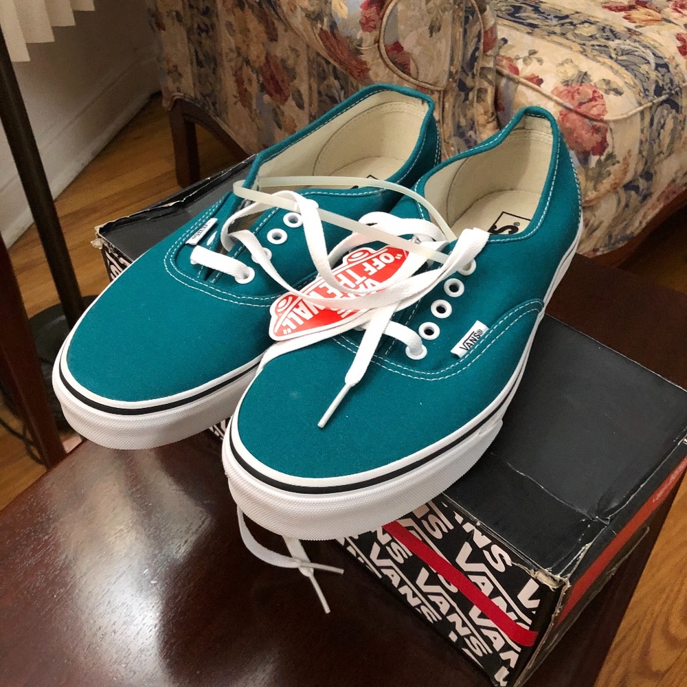 Vans men’s skateboard shoes